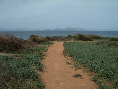DSCF0108.JPG